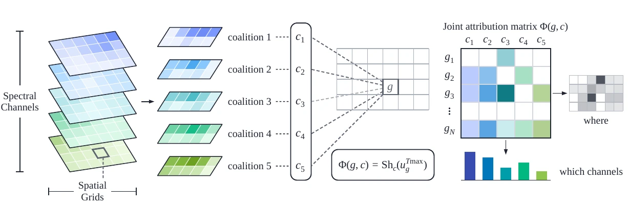 Paper method Figure 2 showing spatial grid, spectral channels, local Shapley game, joint attribution matrix and spatial/spectral summaries